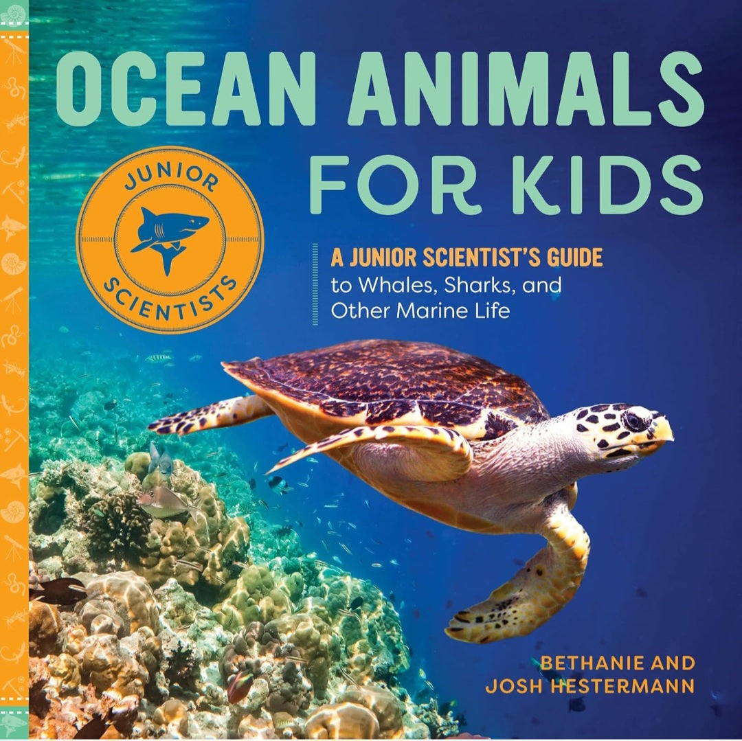 Ocean Life Book Bundle
