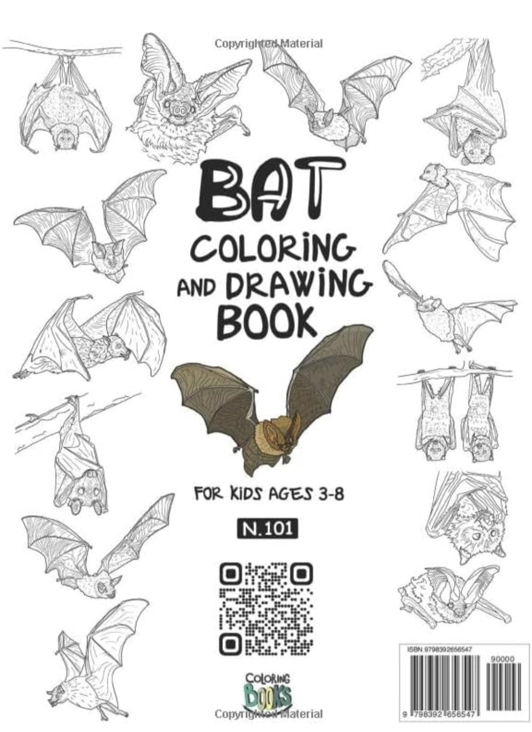 All Things Bats Study Kit