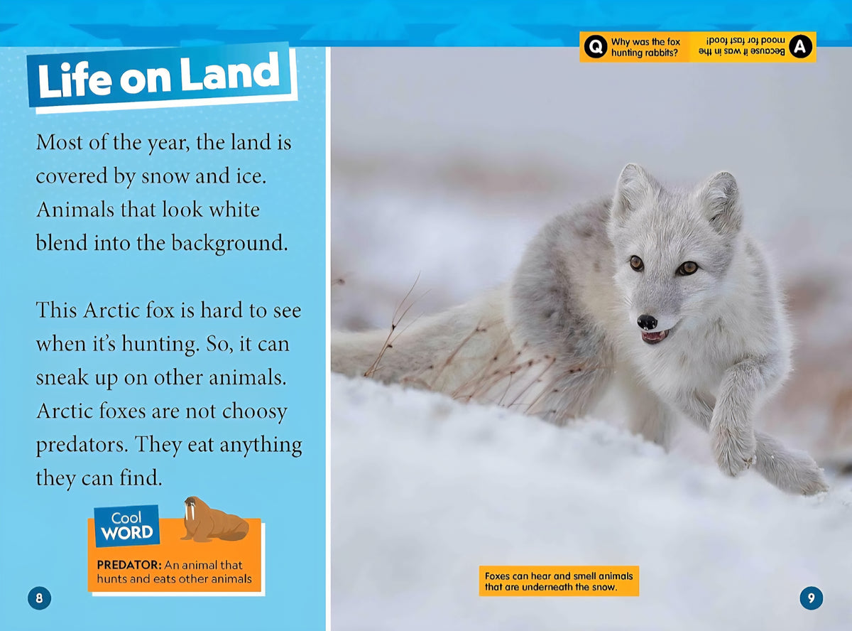 Polar Animals & Adaptations Study Kit