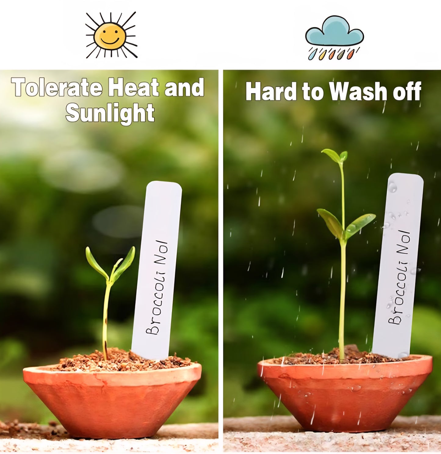 Seed Starting Kit