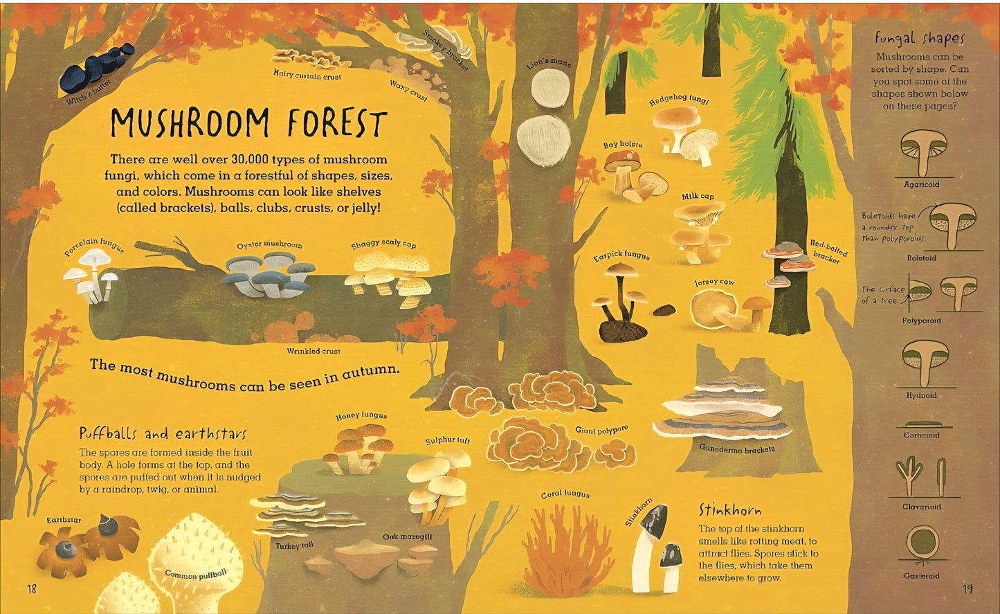 Mushrooms & Fungi Book Bundle