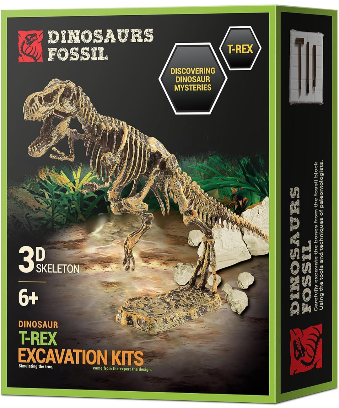 Dinosaur Study Kit