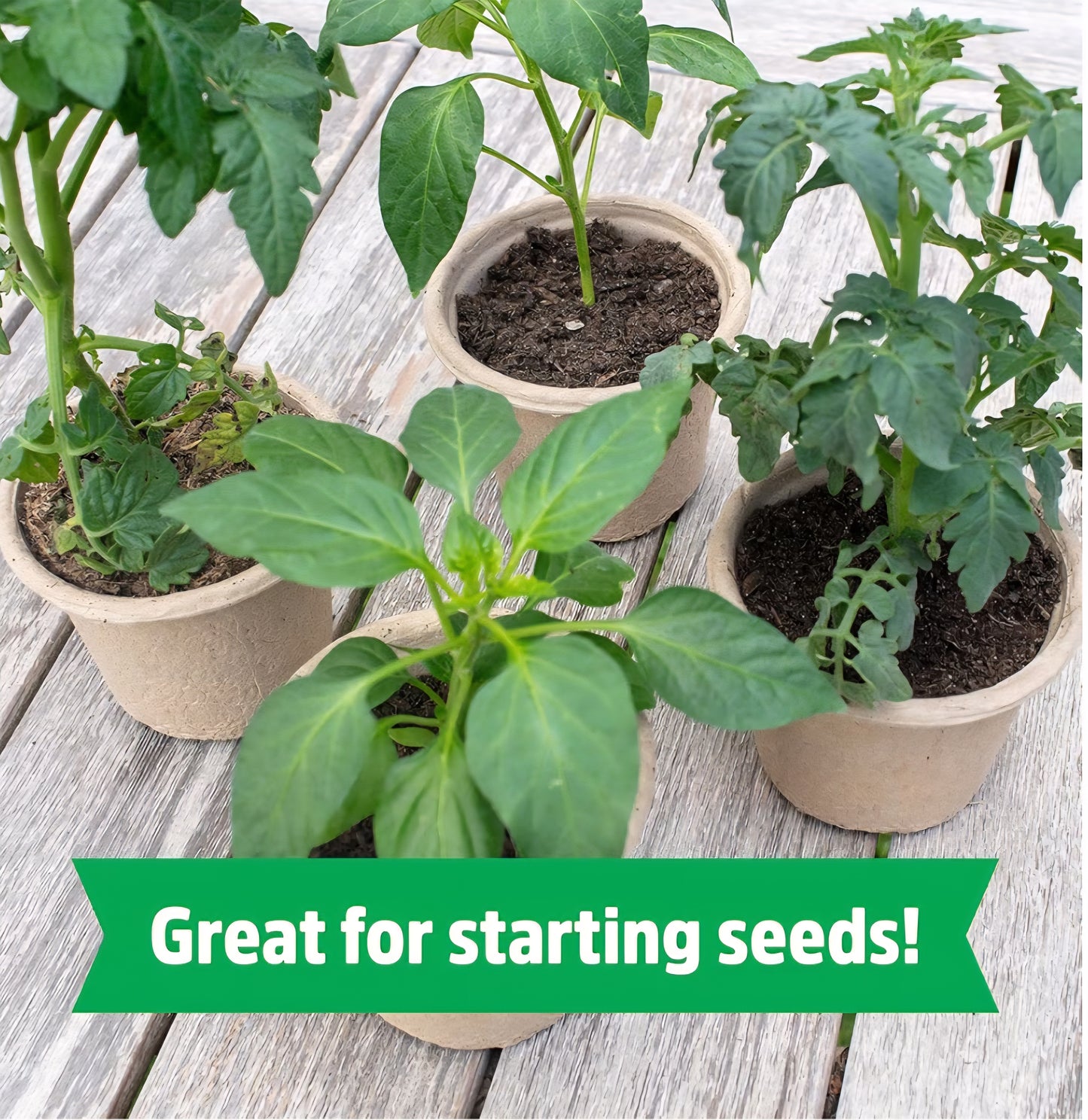 Seed Starting Kit