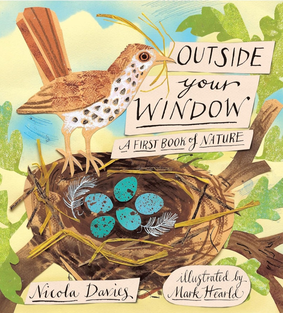 Outside Your Window