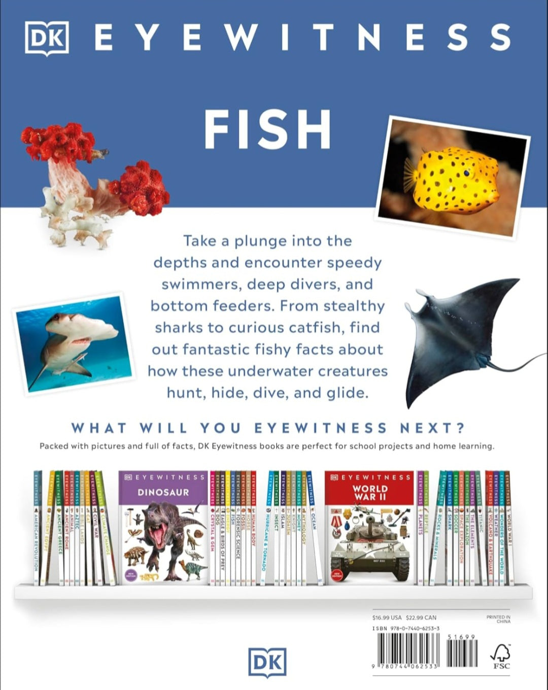 Eyewitness Fish|Hardcover