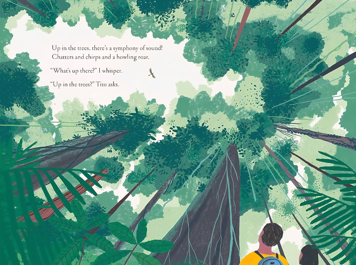 Over and Under the Rainforest|Hardcover