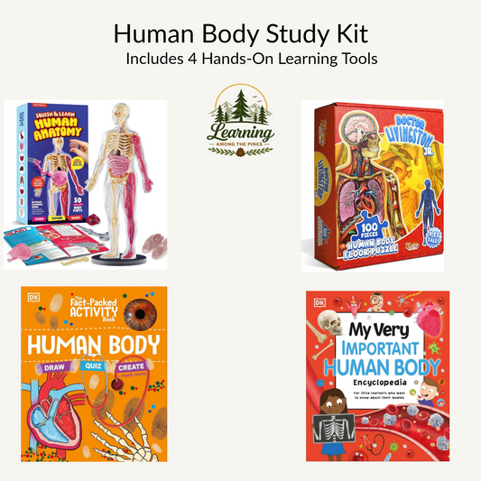 Human Body Study Kit