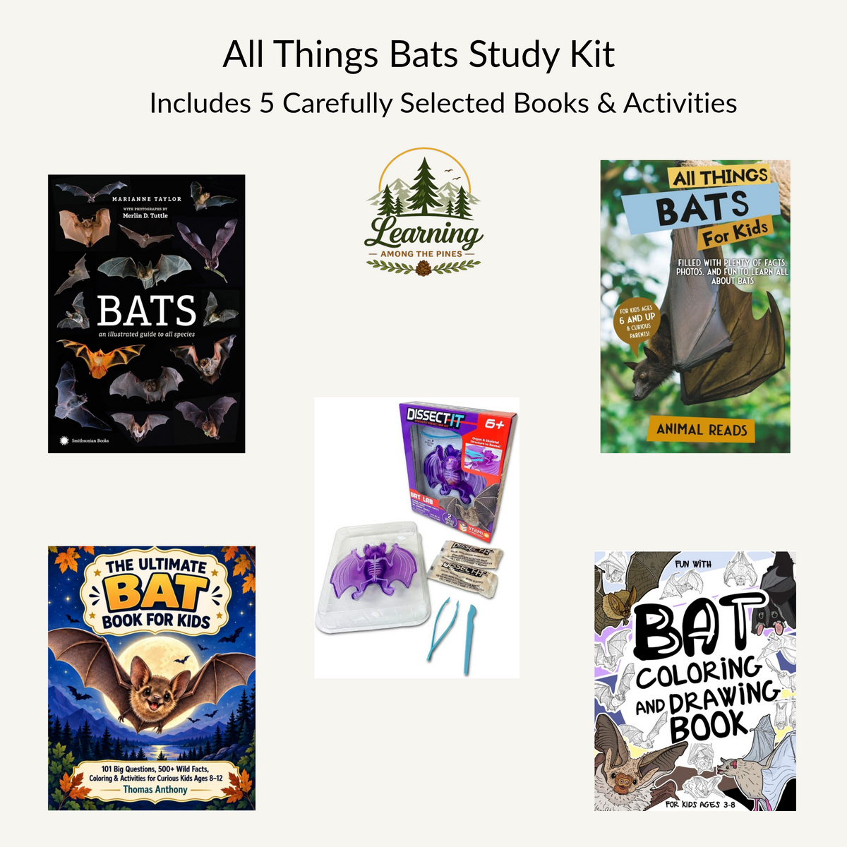 All Things Bats Study Kit