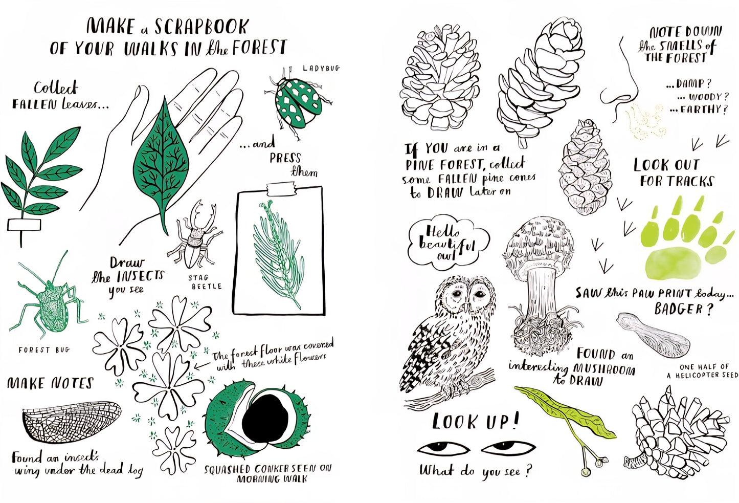 Hello Nature Activity Book