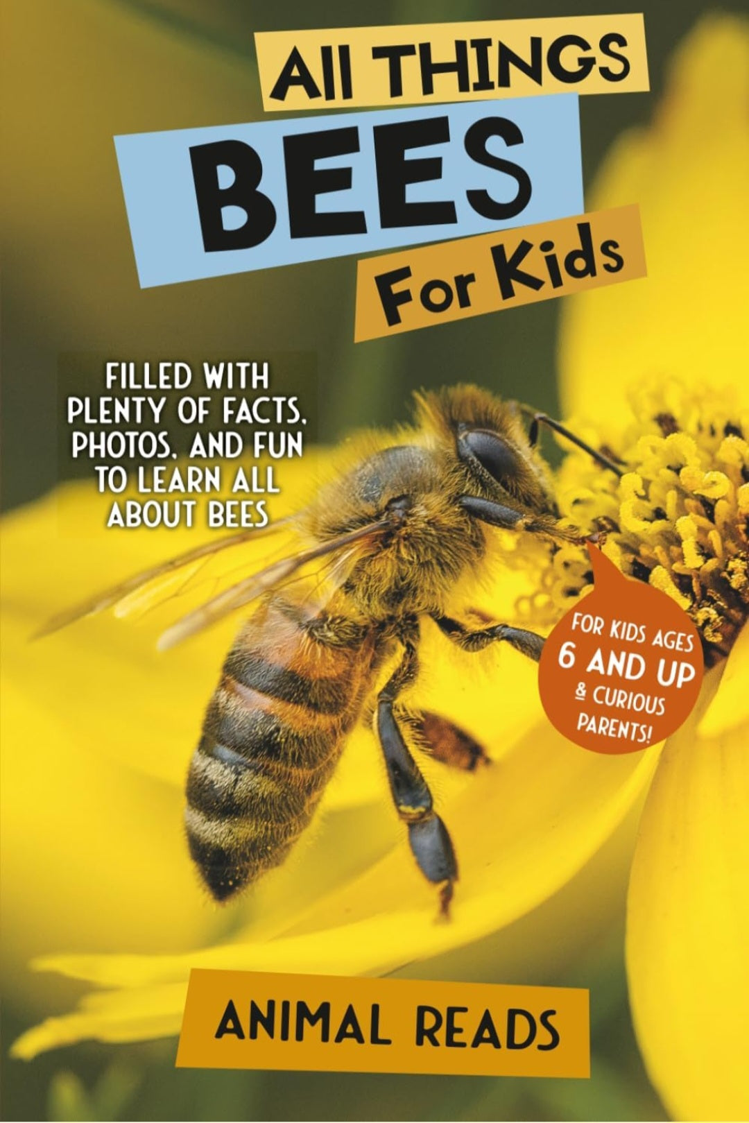All About Bees Book Bundle