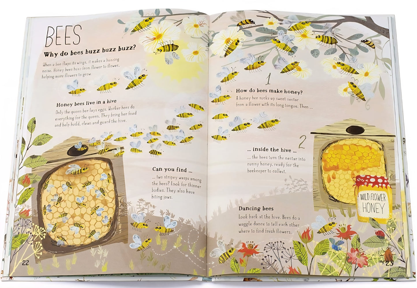 The Big Book Of Bugs