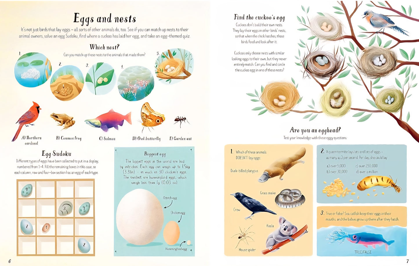 Write In Nature Activity Book