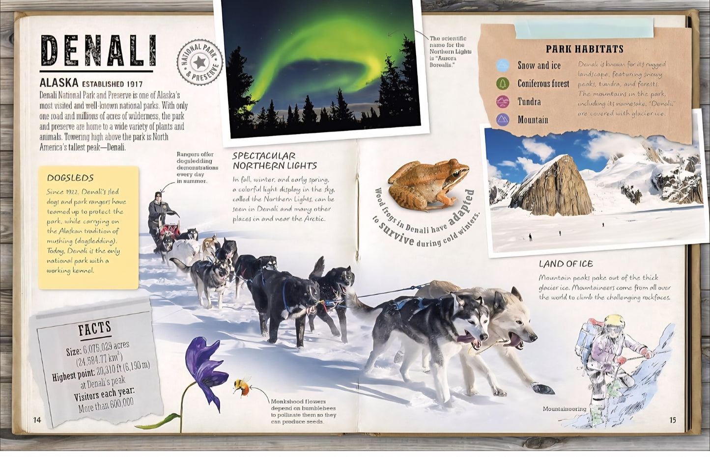 National Parks Book Bundle