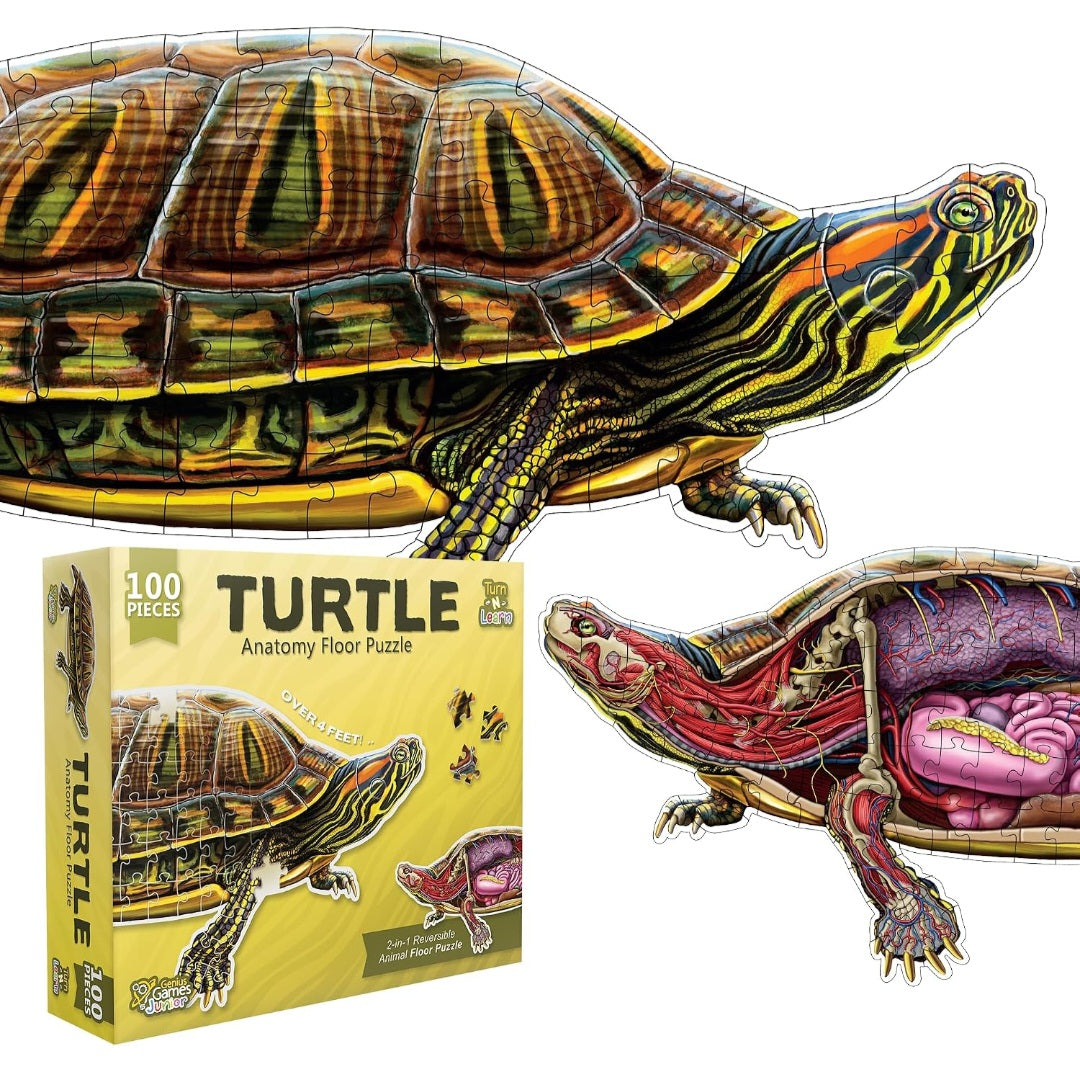 Turtle Animal Anatomy Floor Puzzle|100-Piece Double-Sided Puzzle