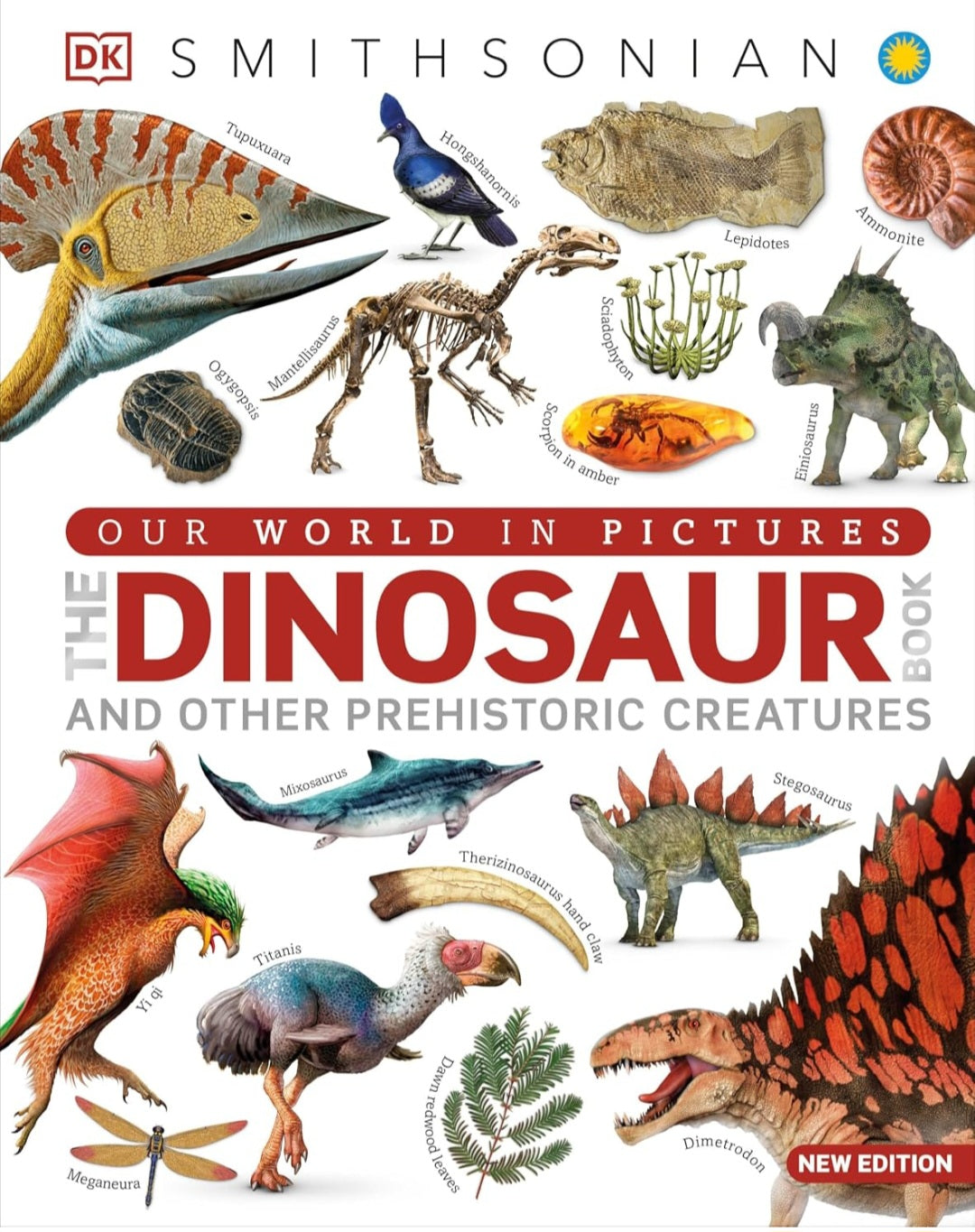 Dinosaur Study Kit