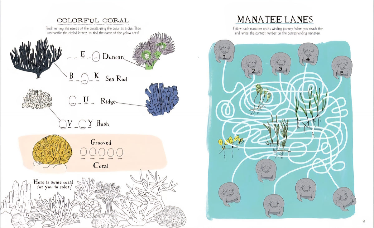 Julia Rothman's Ocean Anatomy Activity Book: Match-Ups, Word Puzzles, Quizzes, Mazes, Projects, Secret Codes + Lots More