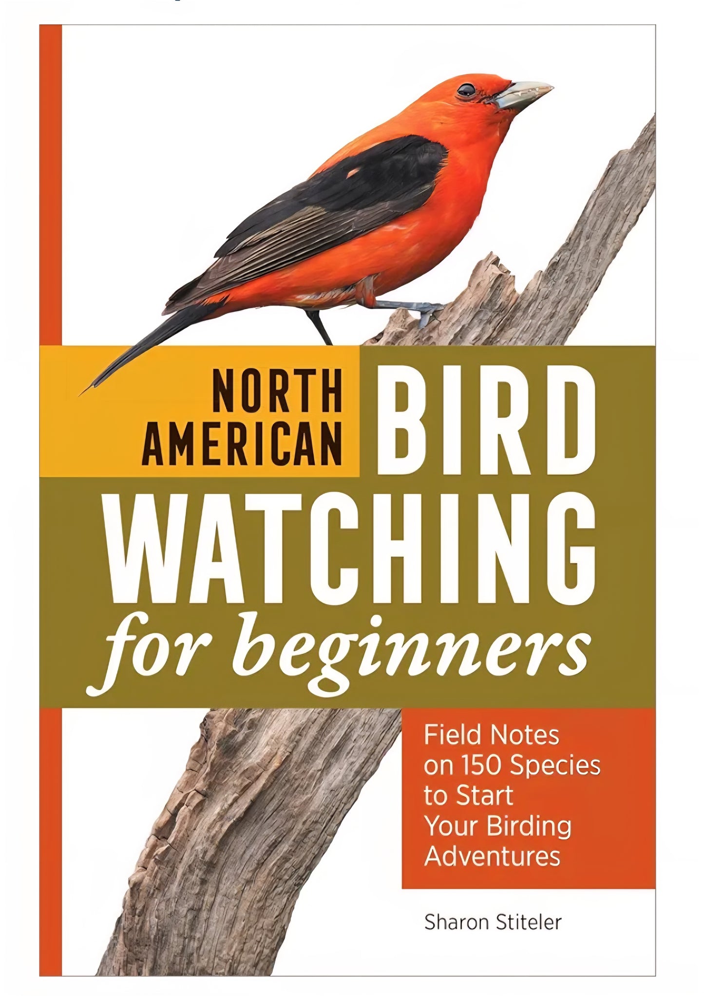 Backyard Bird Book Bundle
