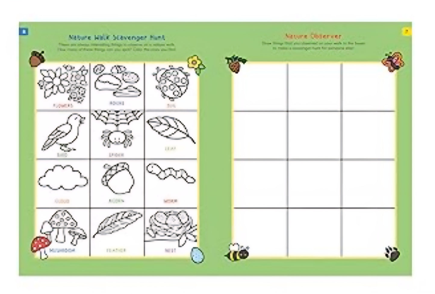 Nature Explorer's Activity Book