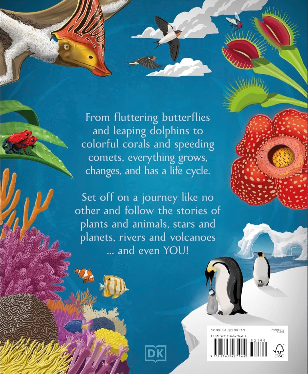 Life Cycles Book Bundle