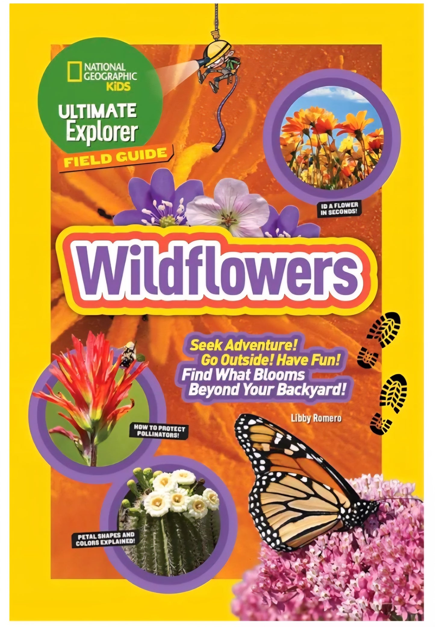 Wildflower Study Kit