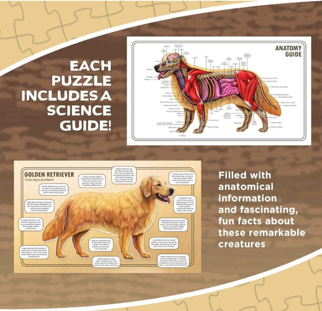 Dog Animal Anatomy Floor Puzzle|100-Piece Double-Sided Puzzle