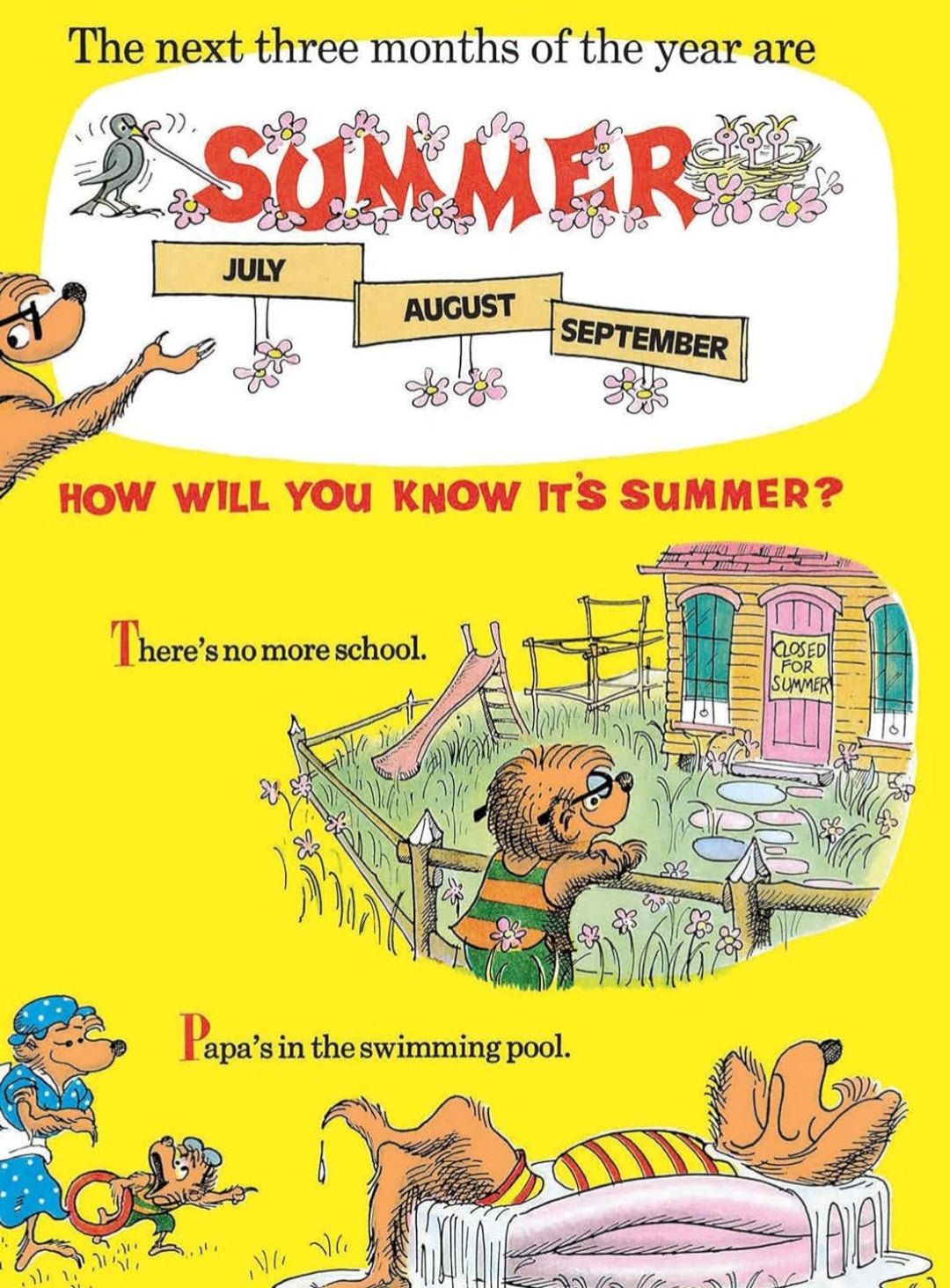 The Berenstain Bears' Big Book of Science & Nature