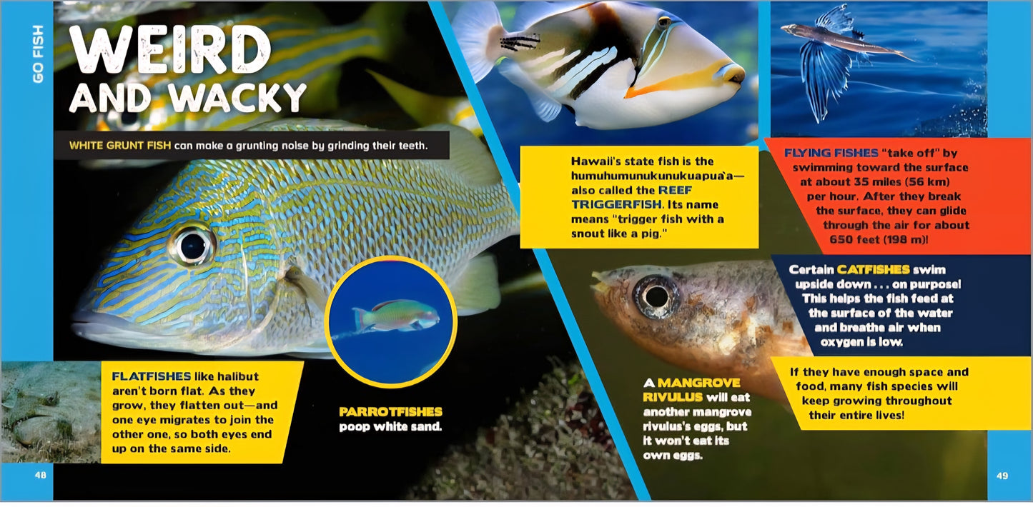 Ocean Life Book Bundle