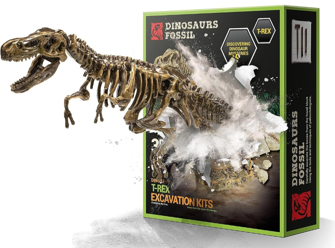 Dinosaur Study Kit