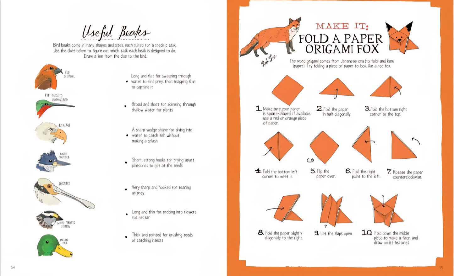 Nature Anatomy Activity Book
