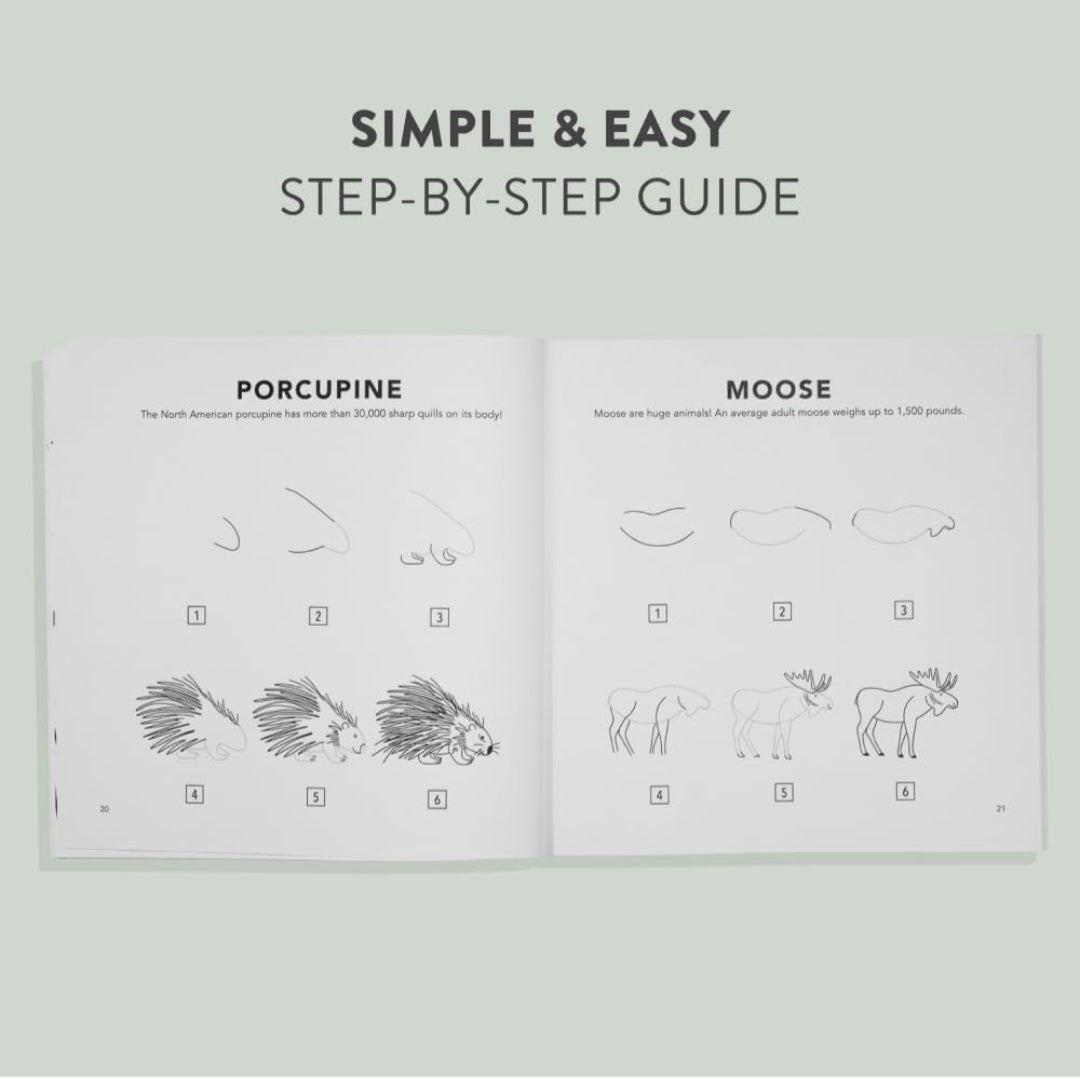 How To Draw Woodland Creatures Activity Book