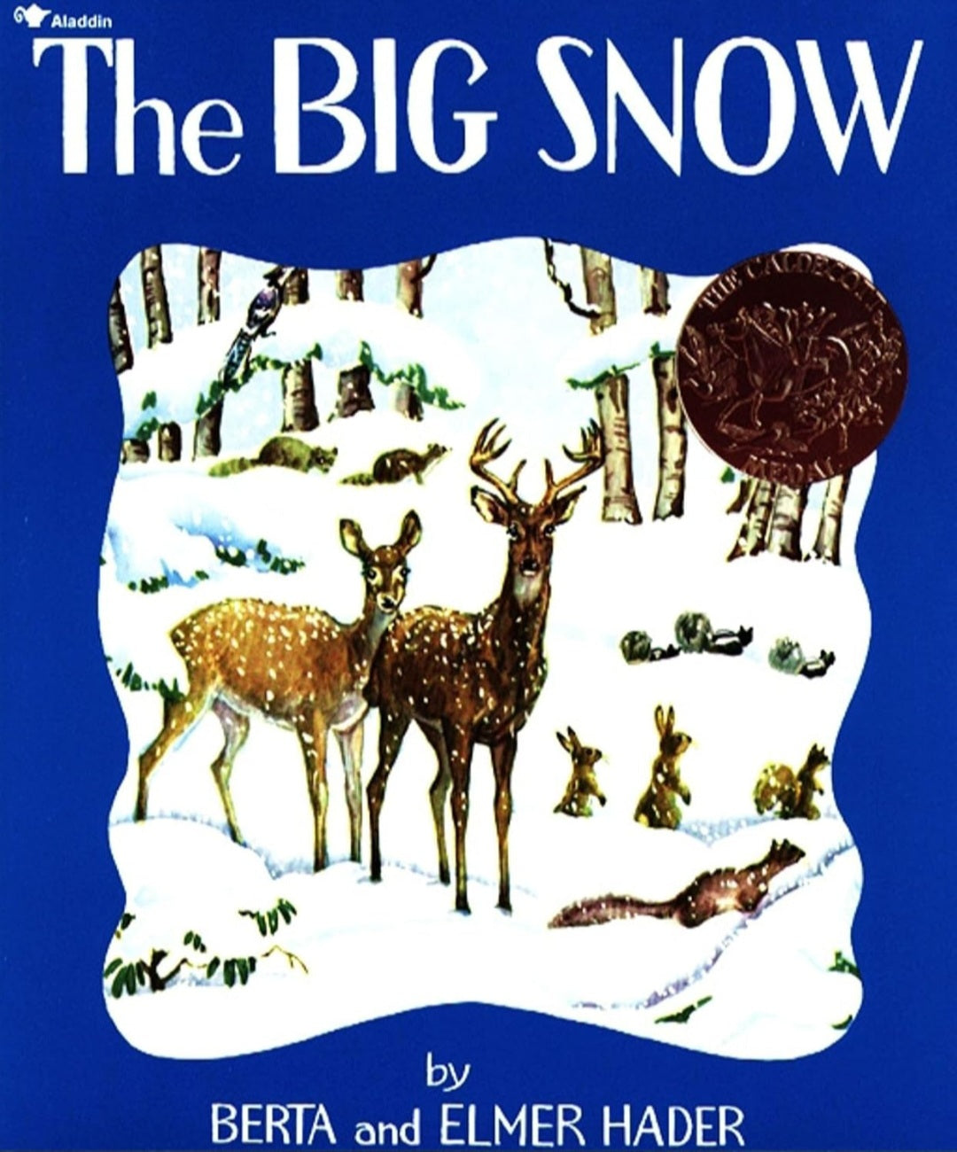 Winter Book Bundle| 6-Book Collection