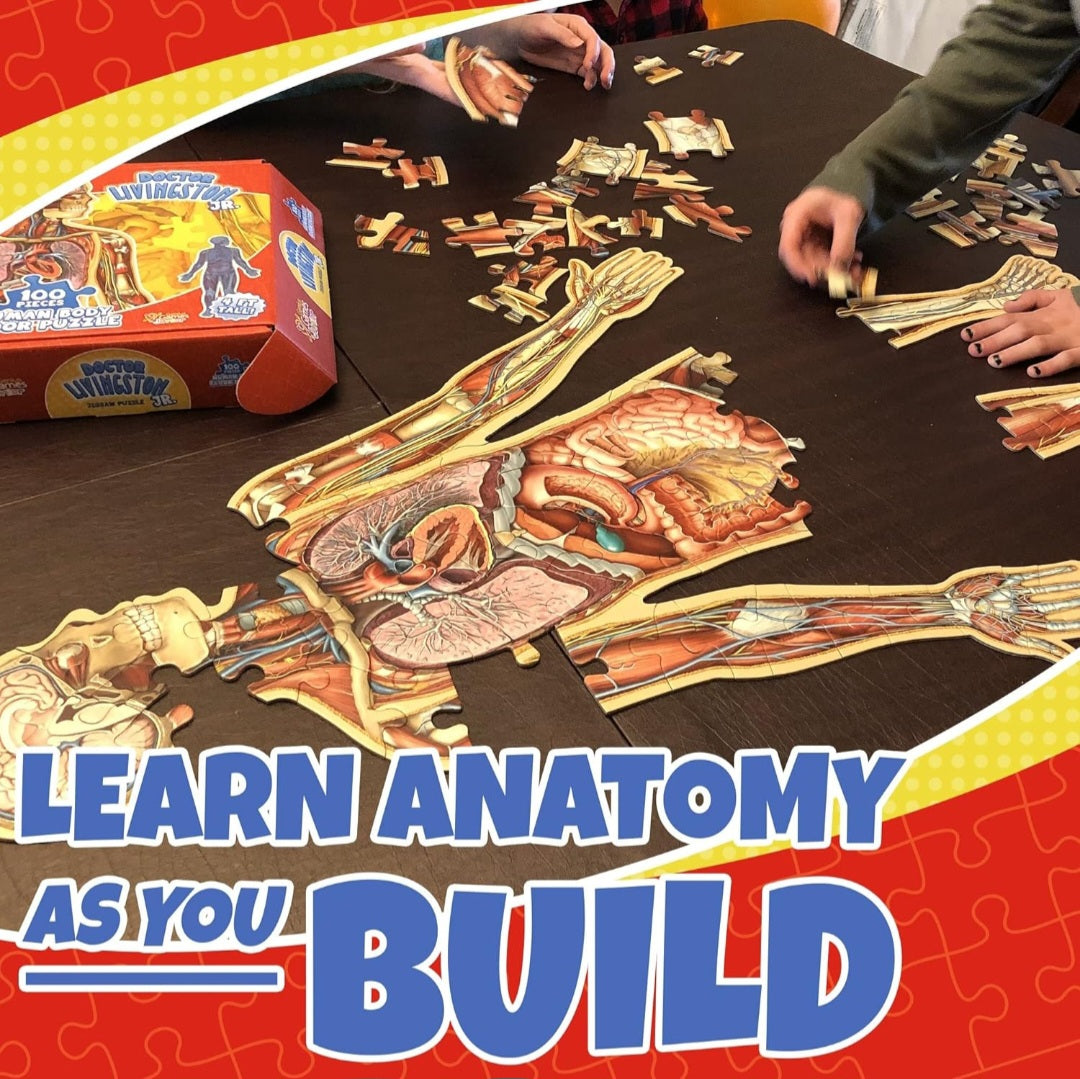 Human Body Study Kit
