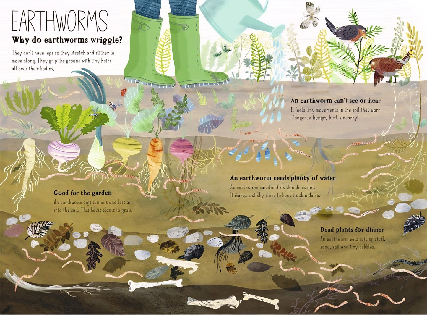 The Big Book Of Bugs