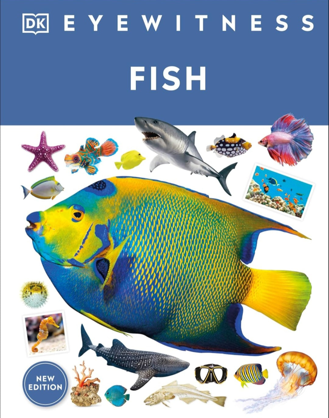 Eyewitness Fish|Hardcover