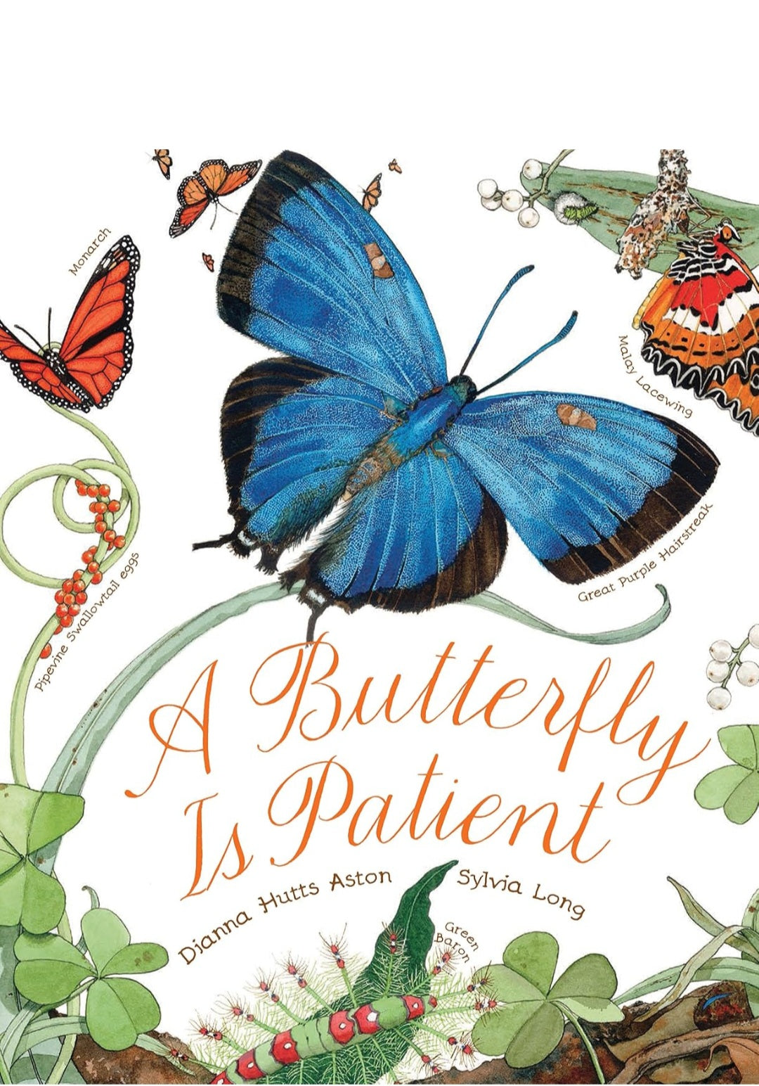 Nature’s Wonders Book Collection | 7 Illustrated Books on Seeds, Insects, Birds, Rocks & Natural Life Cycles