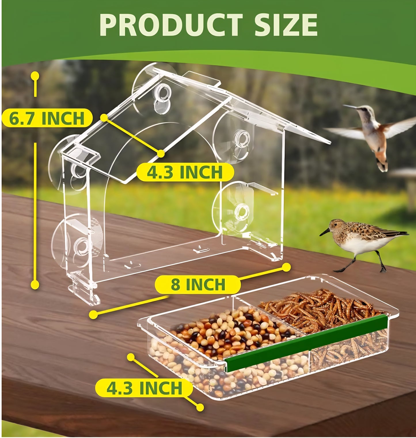 Backyard Bird Study Kit