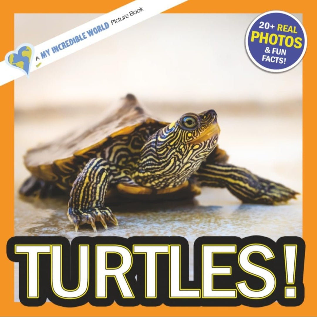 Animals 3-in-1 Build & Learn Kit | LEGO® + Animal Books (Frogs, Snails & Turtles)