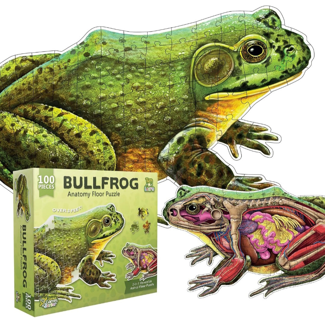 Bullfrog Anatomy Floor Puzzle – 100-Piece Double-Sided Life-Size Frog Puzzle