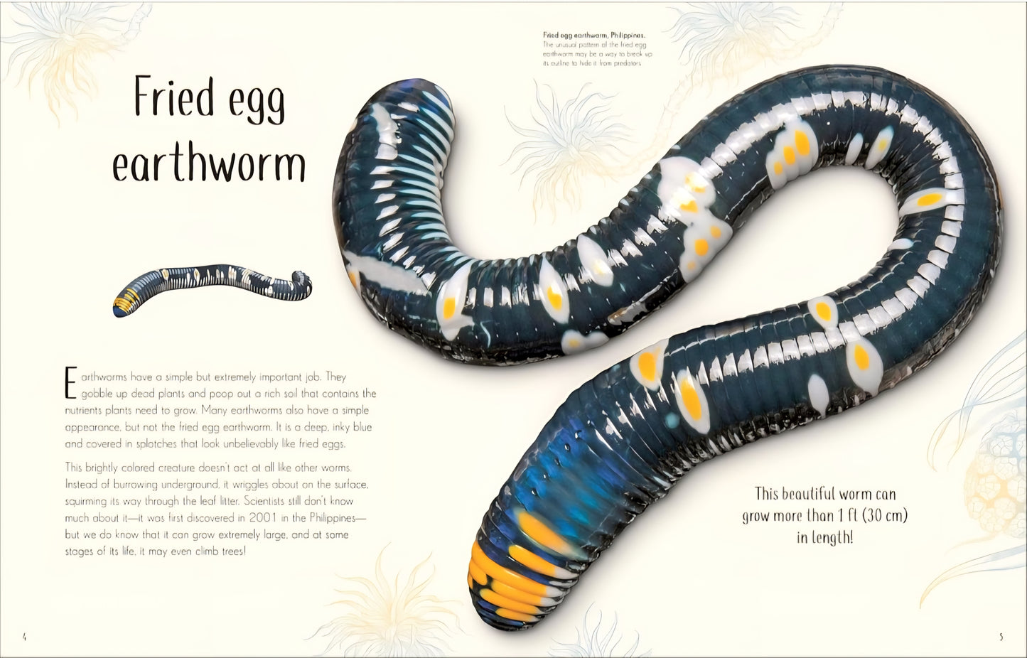 Insects and Bugs Book Bundle
