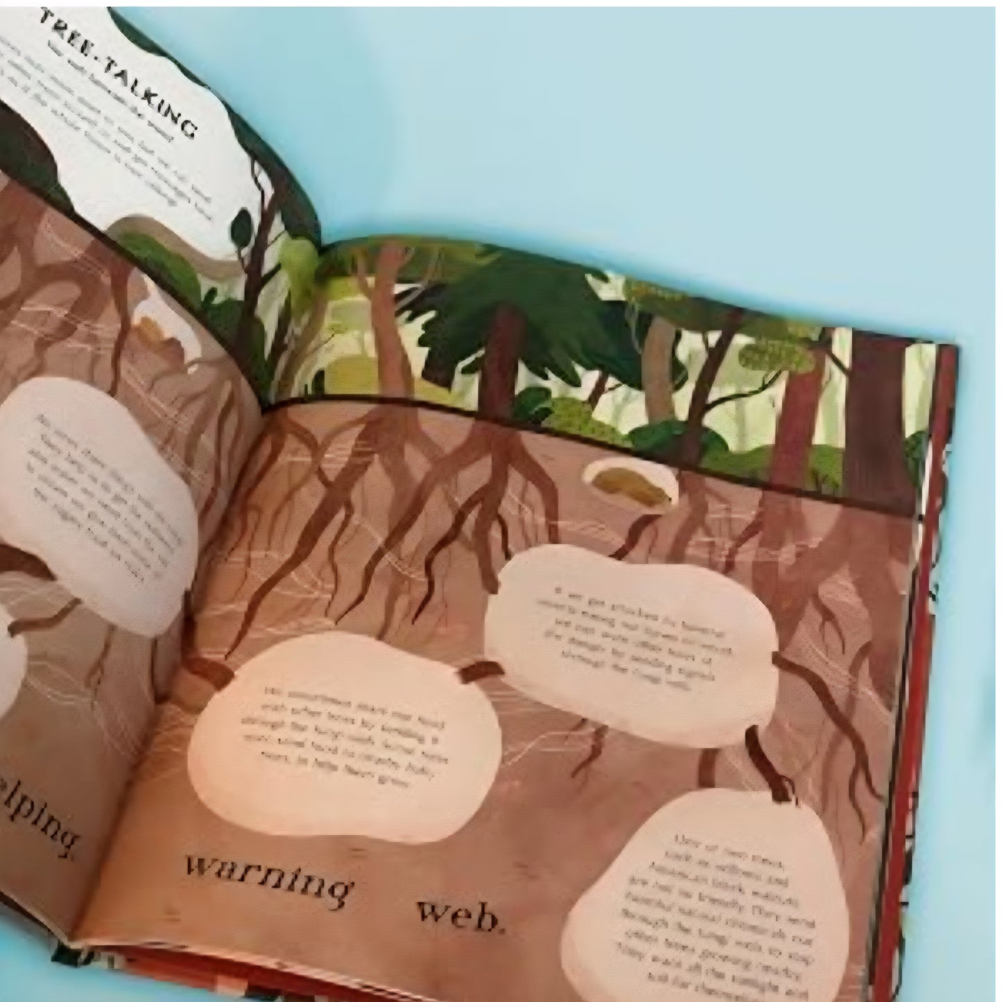 All About Bees Book Bundle