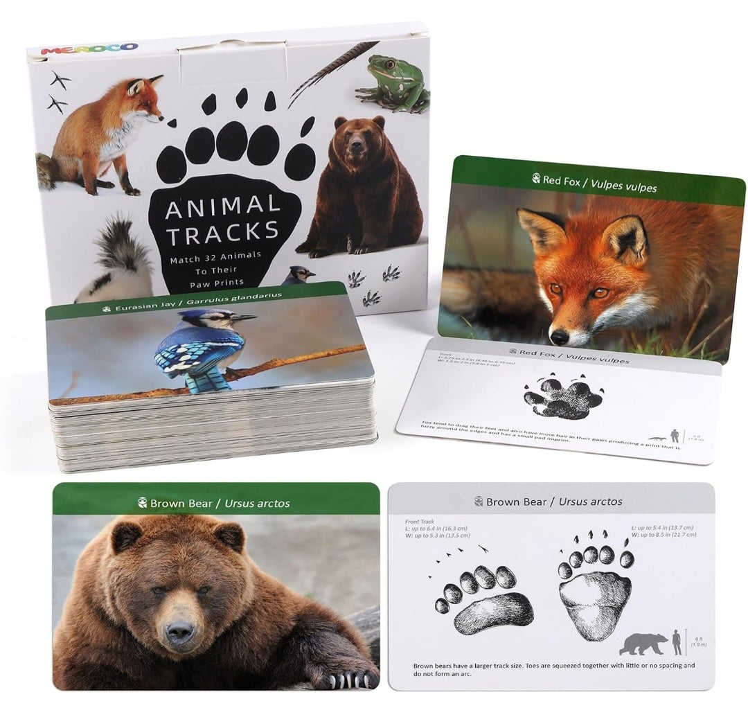 Animal Tracks Study Kit