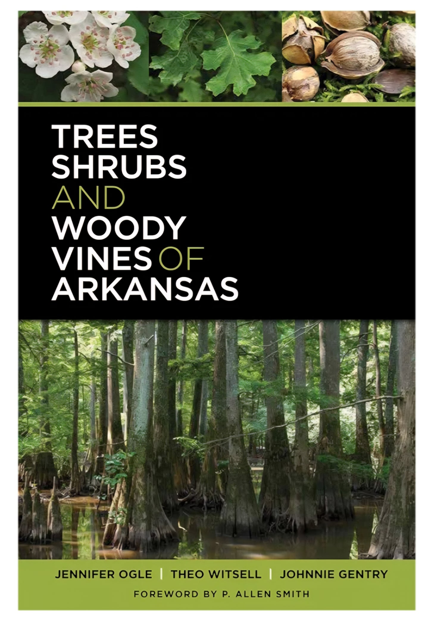 Tree Identification Kit