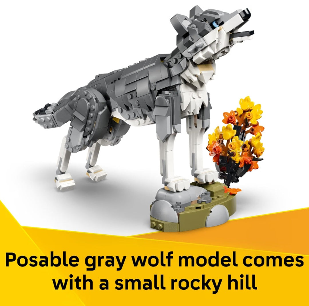 Wild Animals 3 in 1 Build and Learn Kit|Gray Wolf, Falcon, Raccoon