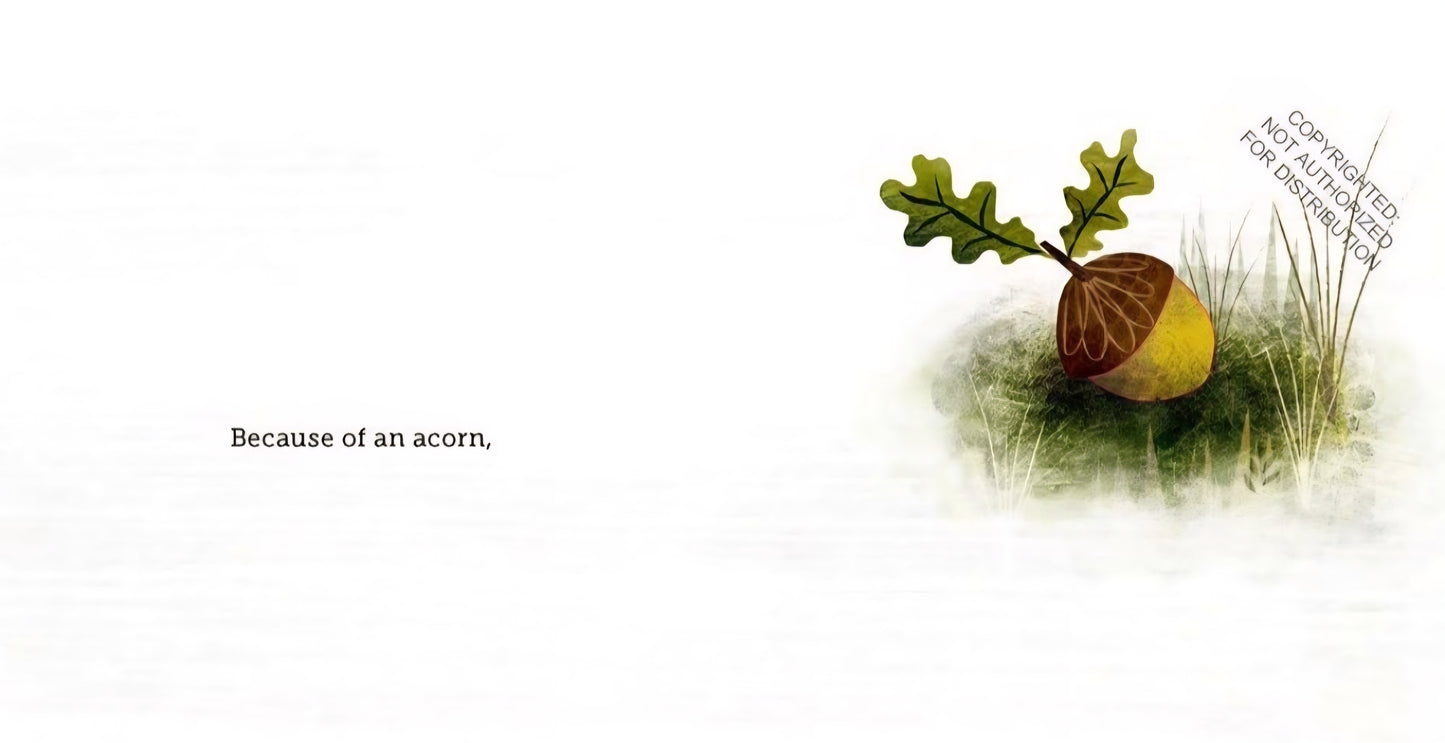 Because Of An Acorn