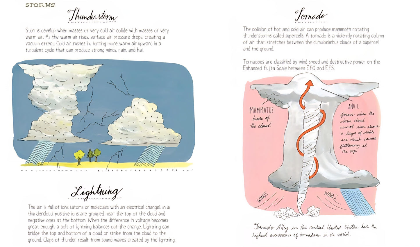 Nature Anatomy: The Curious Parts & Pieces Of The Natural World