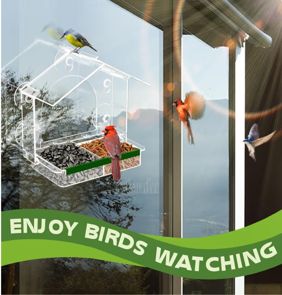 Backyard Bird Study Kit
