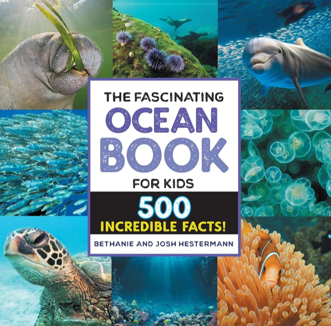 Ocean Life Book Bundle