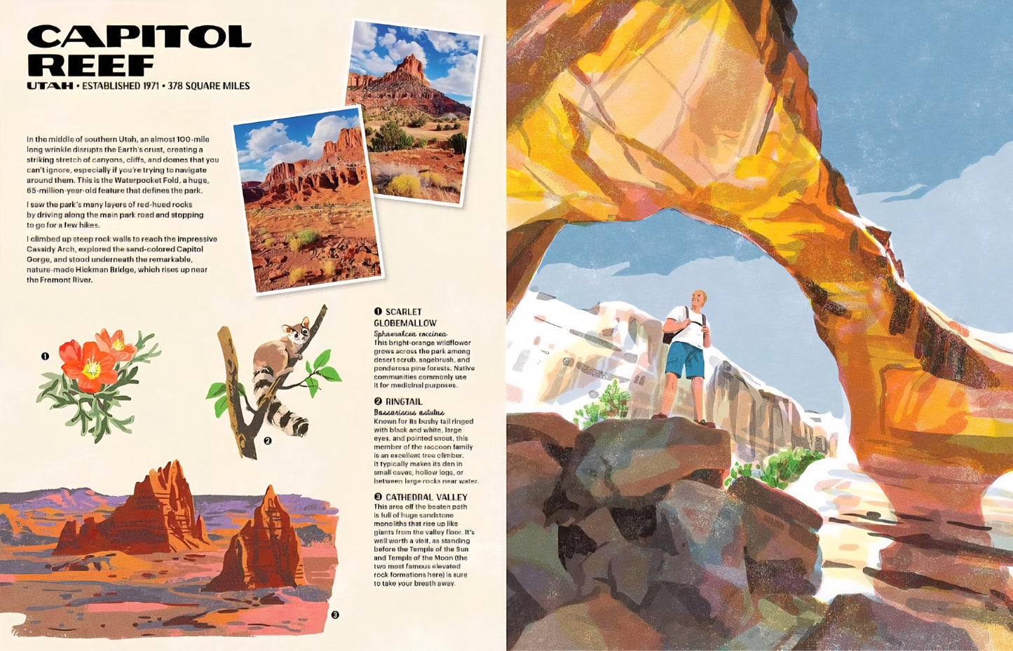 National Parks Book Bundle