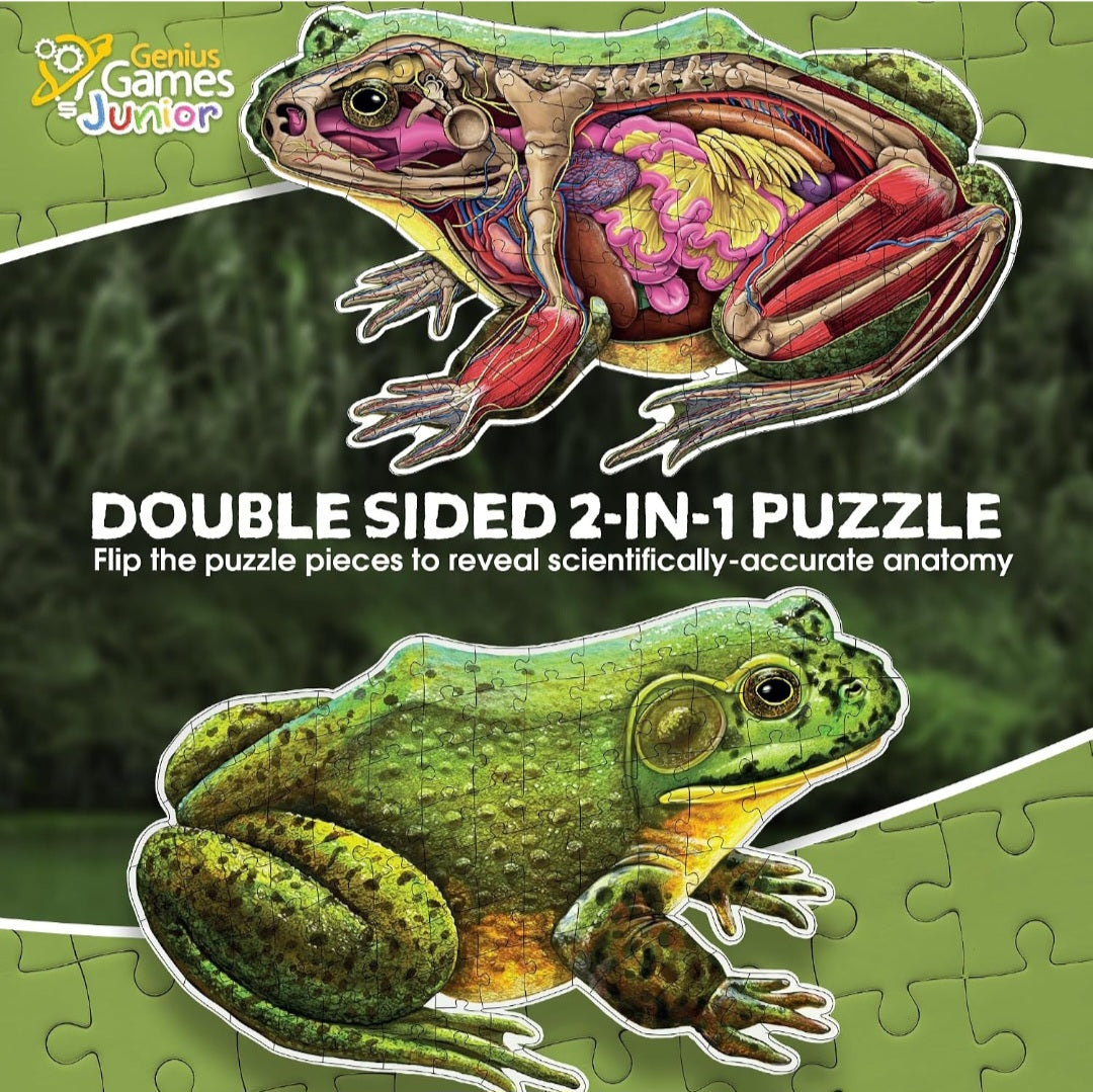 Bullfrog Anatomy Floor Puzzle – 100-Piece Double-Sided Life-Size Frog Puzzle