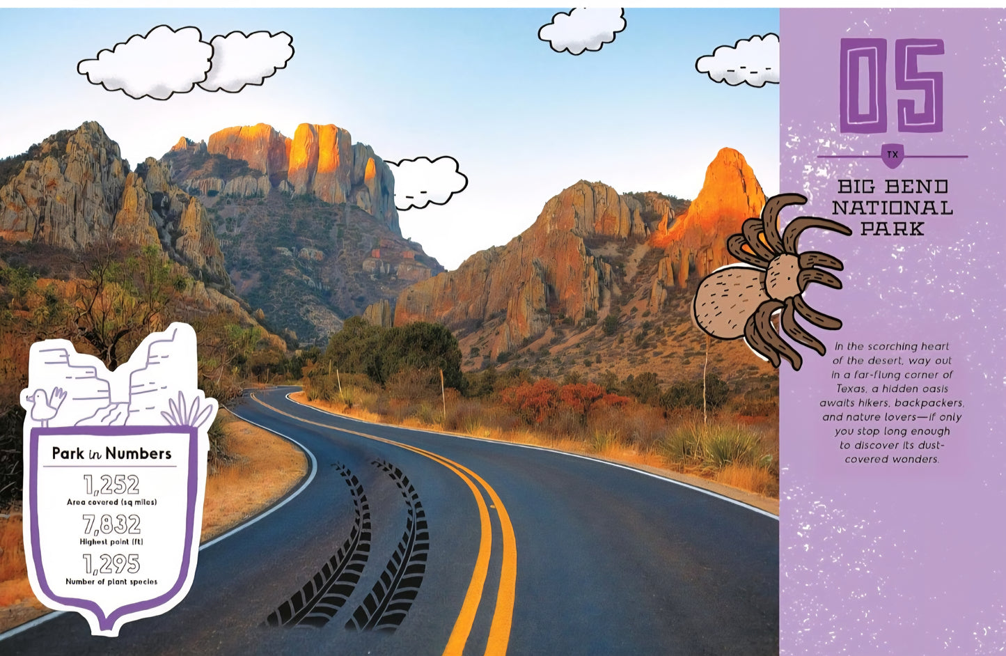 National Parks Book Bundle